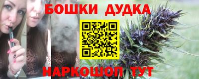 бошки Дубна