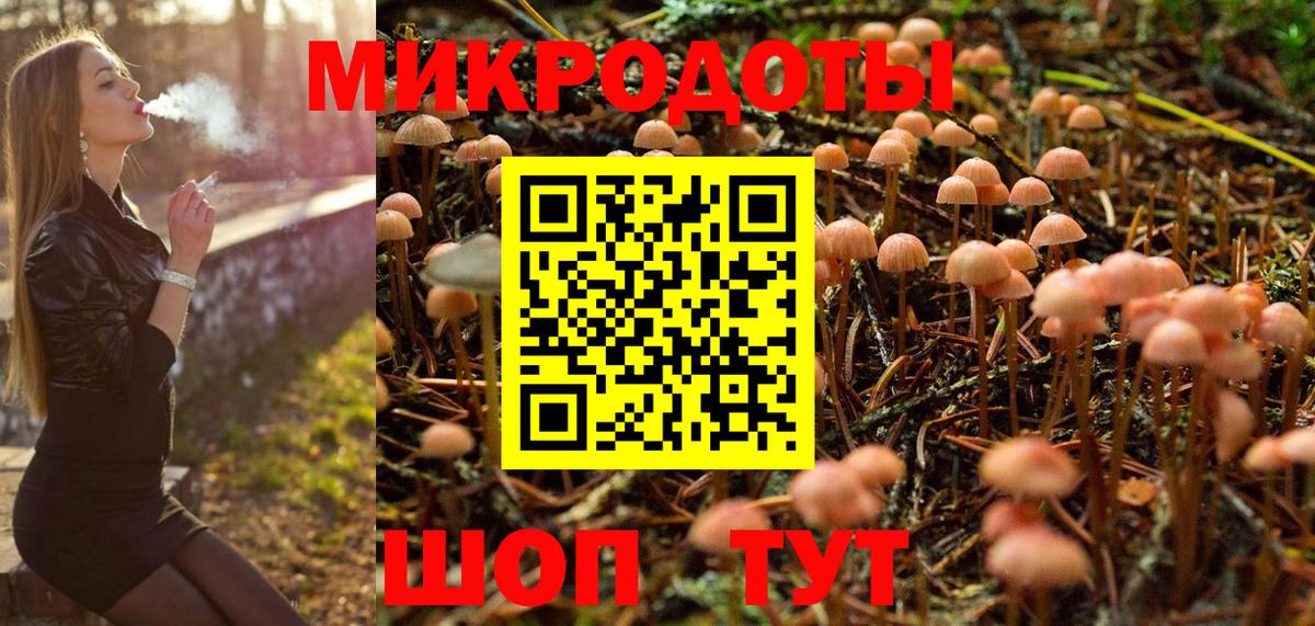 Псилоцибиновые грибы Psilocybine cubensis Кимовск