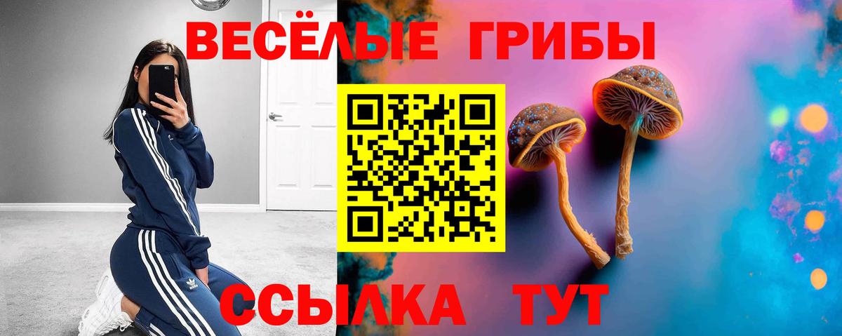 Кимовск  Галлюциногенные грибы Cubensis  Псилоцибиновые грибы Magic Shrooms  Вход с VPN 